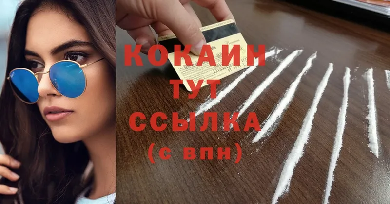 Cocaine Fish Scale  мега как войти  Ковров  цены наркотик 